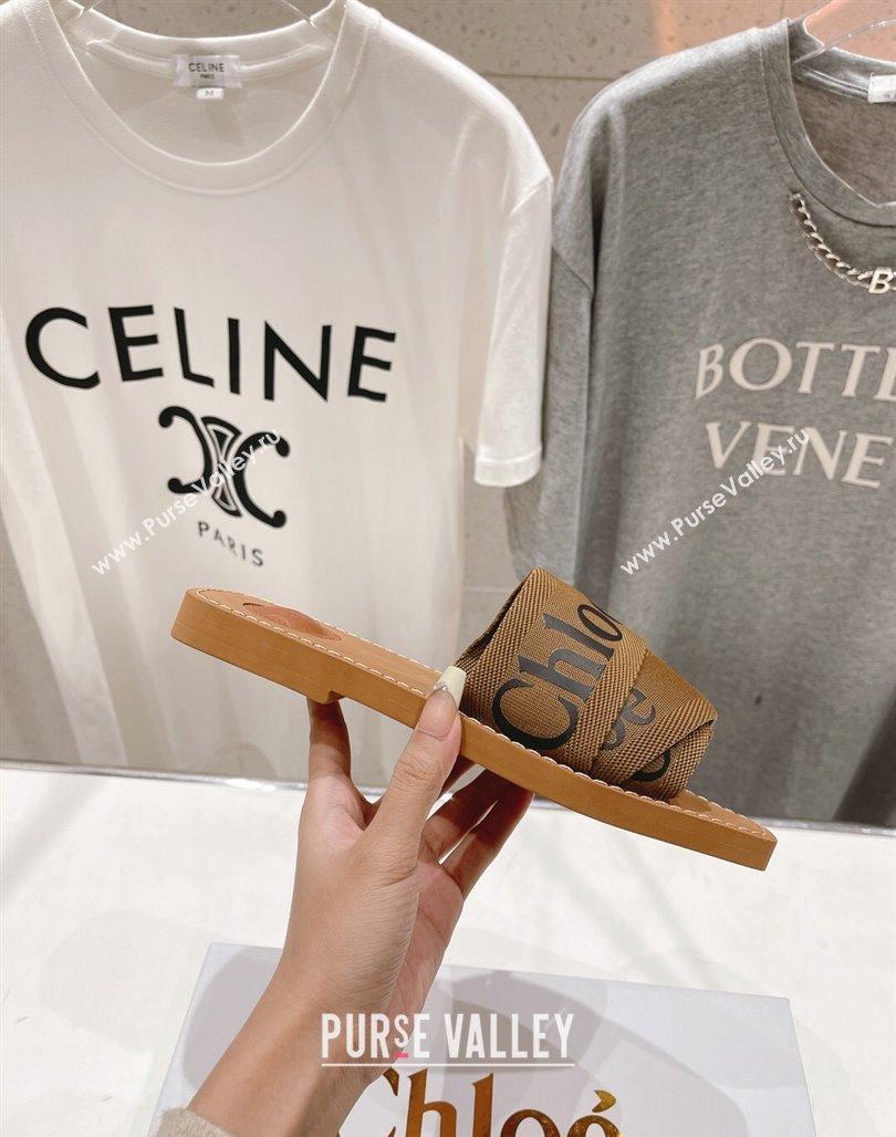 Chloe Woody Flat Slide Sandals in Original Ribbon Brown 2024 (MD-240227131)