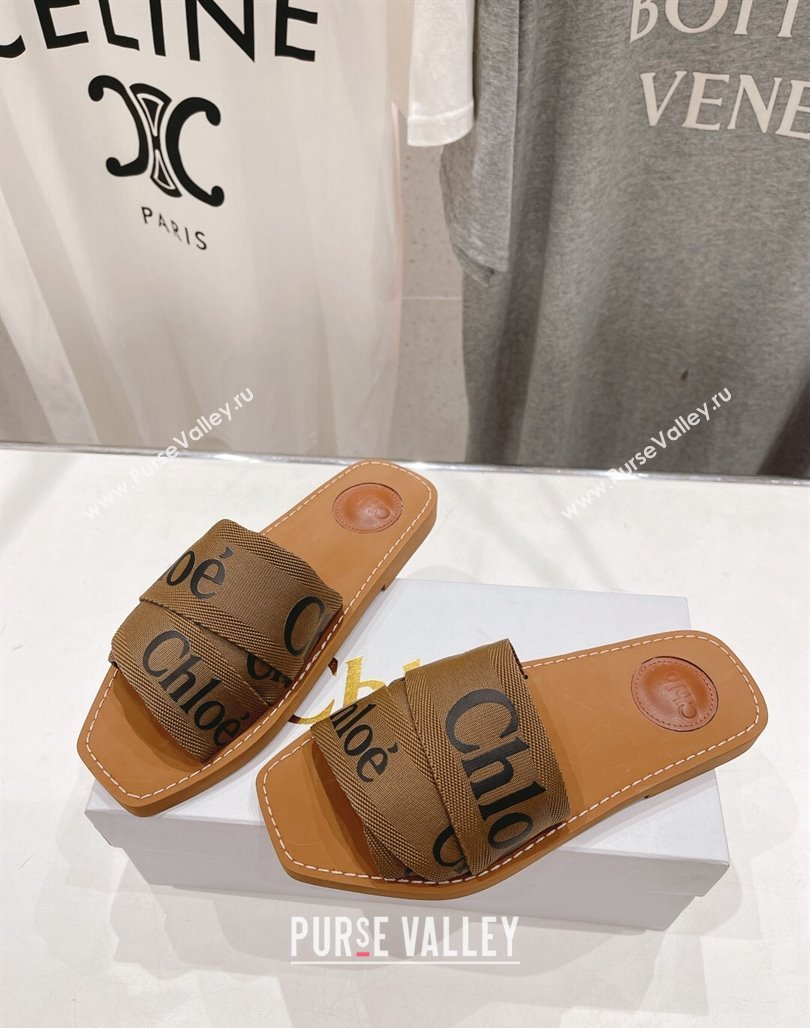 Chloe Woody Flat Slide Sandals in Original Ribbon Brown 2024 (MD-240227131)