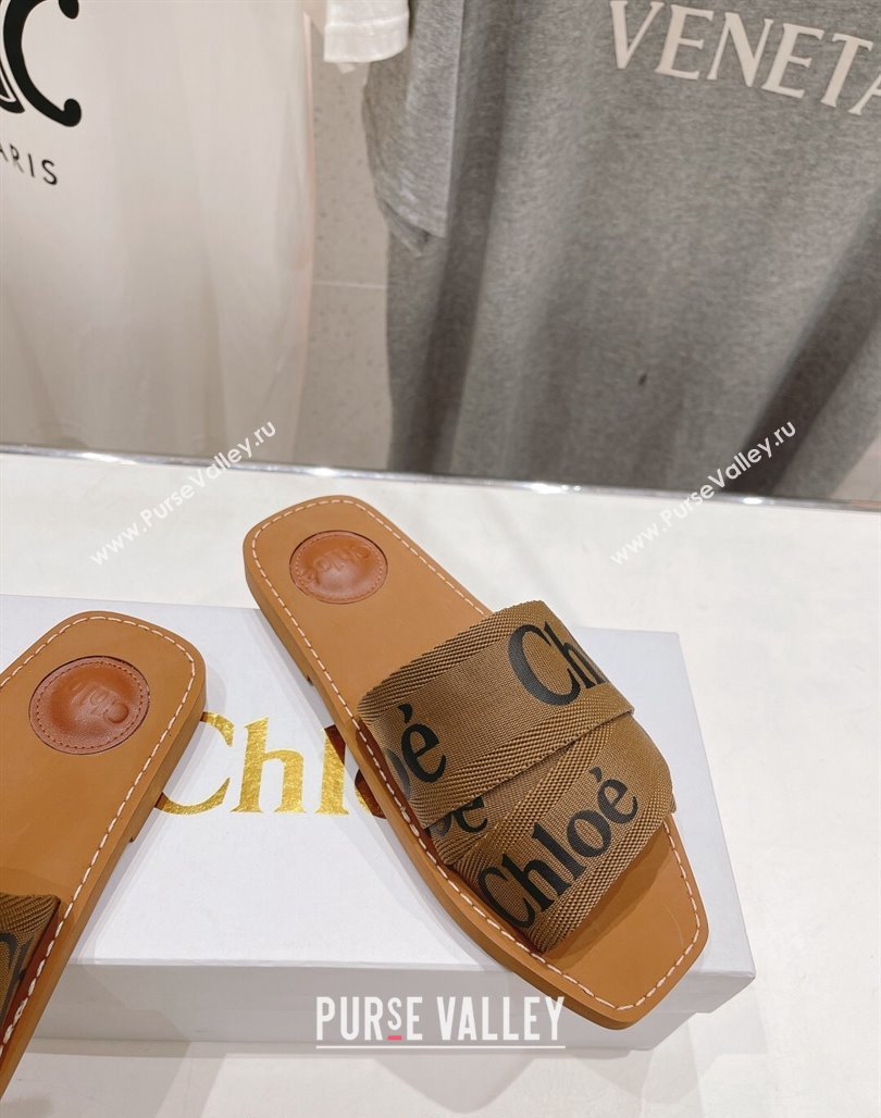 Chloe Woody Flat Slide Sandals in Original Ribbon Brown 2024 (MD-240227131)