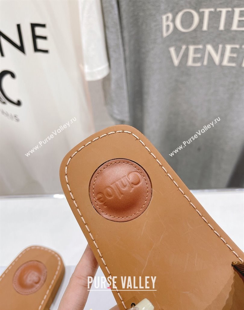 Chloe Woody Flat Slide Sandals in Original Ribbon Brown 2024 (MD-240227131)