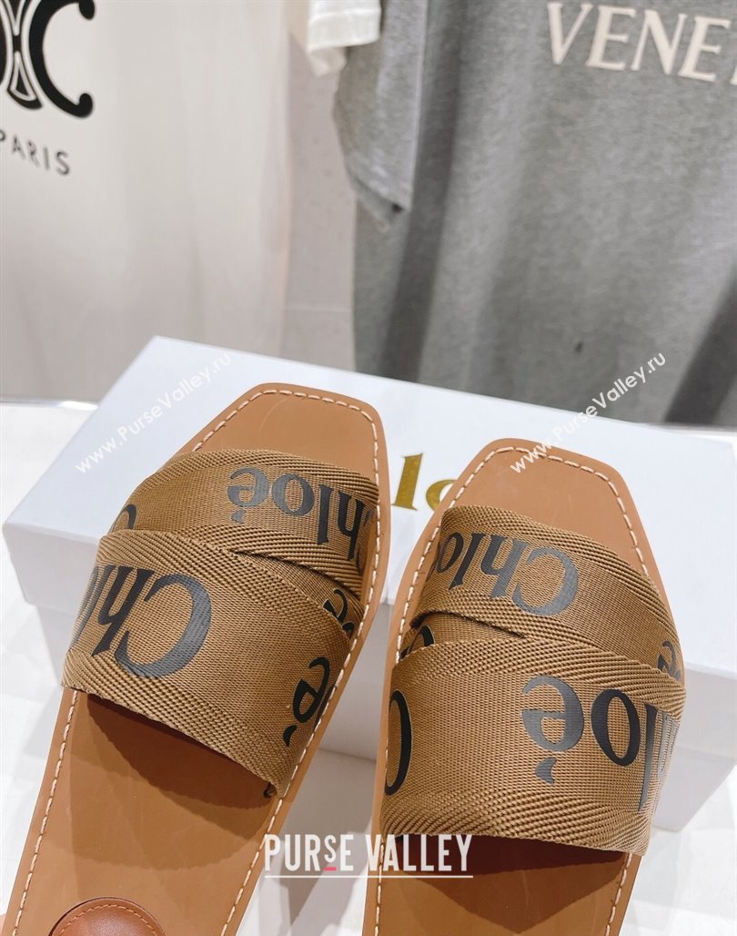 Chloe Woody Flat Slide Sandals in Original Ribbon Brown 2024 (MD-240227131)
