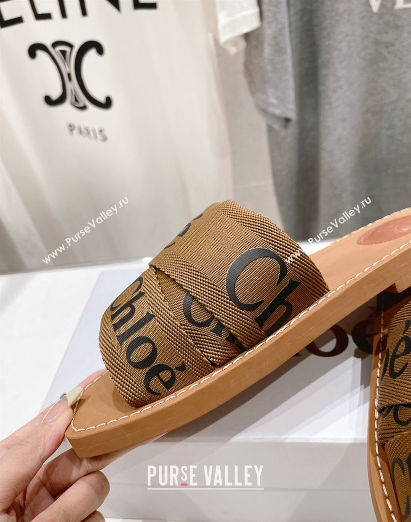 Chloe Woody Flat Slide Sandals in Original Ribbon Brown 2024 (MD-240227131)
