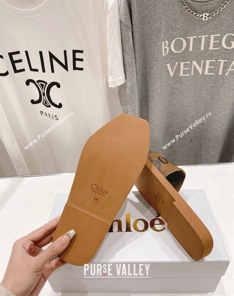 Chloe Woody Flat Slide Sandals in Original Ribbon Brown 2024 (MD-240227131)