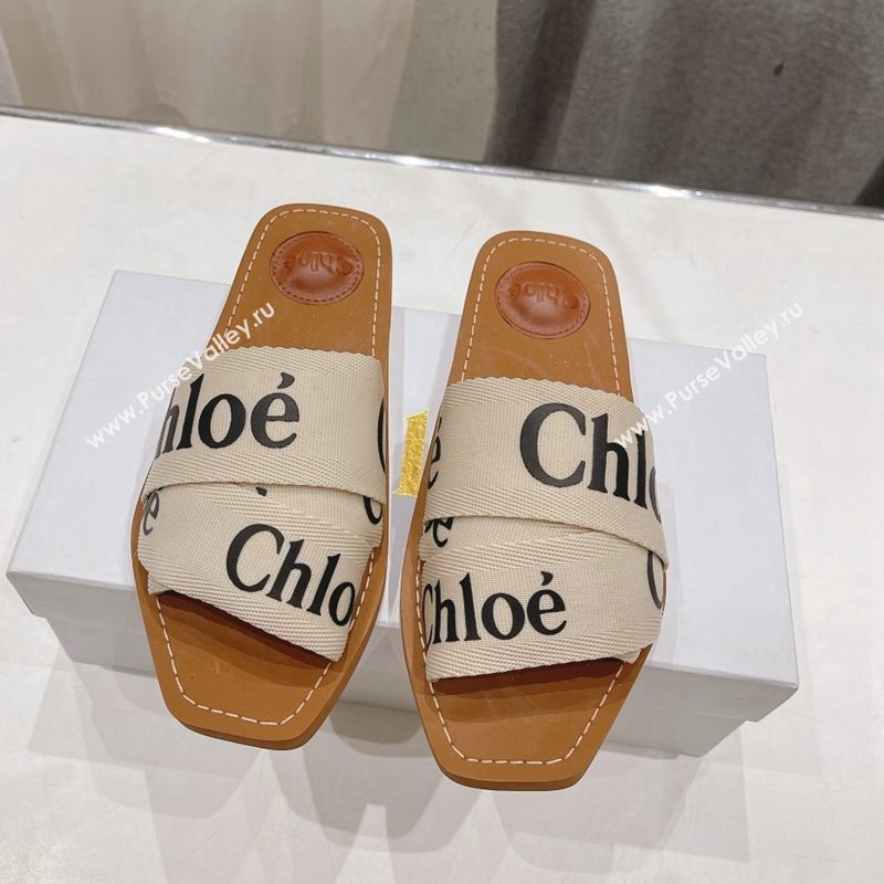Chloe Woody Flat Slide Sandals in Original Ribbon Light Beige/Black 2024 (MD-240227134)