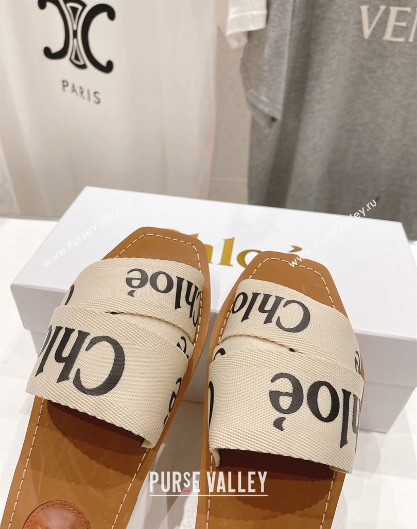 Chloe Woody Flat Slide Sandals in Original Ribbon Light Beige/Black 2024 (MD-240227134)