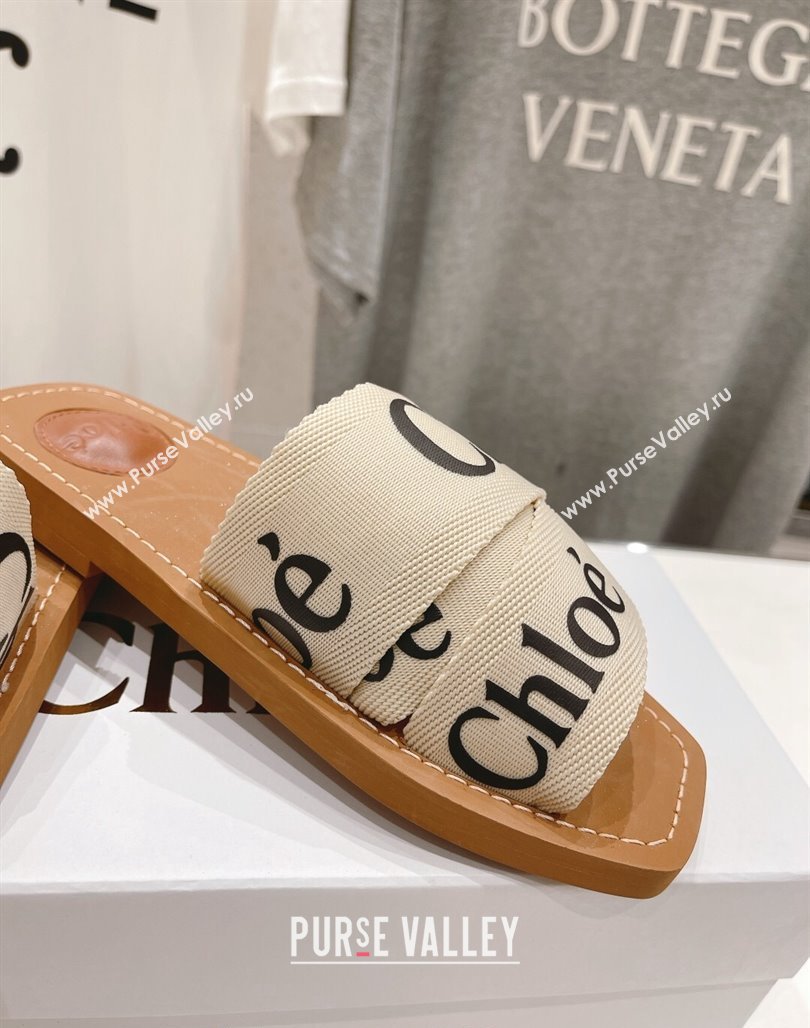 Chloe Woody Flat Slide Sandals in Original Ribbon Light Beige/Black 2024 (MD-240227134)