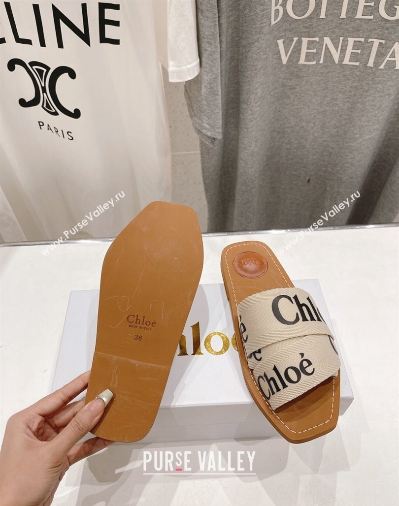 Chloe Woody Flat Slide Sandals in Original Ribbon Light Beige/Black 2024 (MD-240227134)