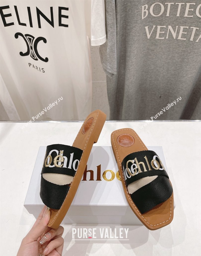 Chloe Woody Flat Slide Sandals in Original Ribbon Black/Multicolor 2024 (MD-240227135)