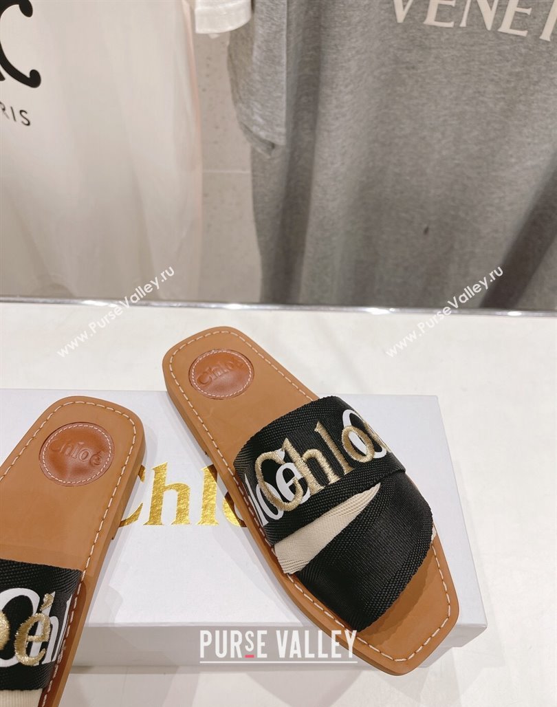 Chloe Woody Flat Slide Sandals in Original Ribbon Black/Multicolor 2024 (MD-240227135)