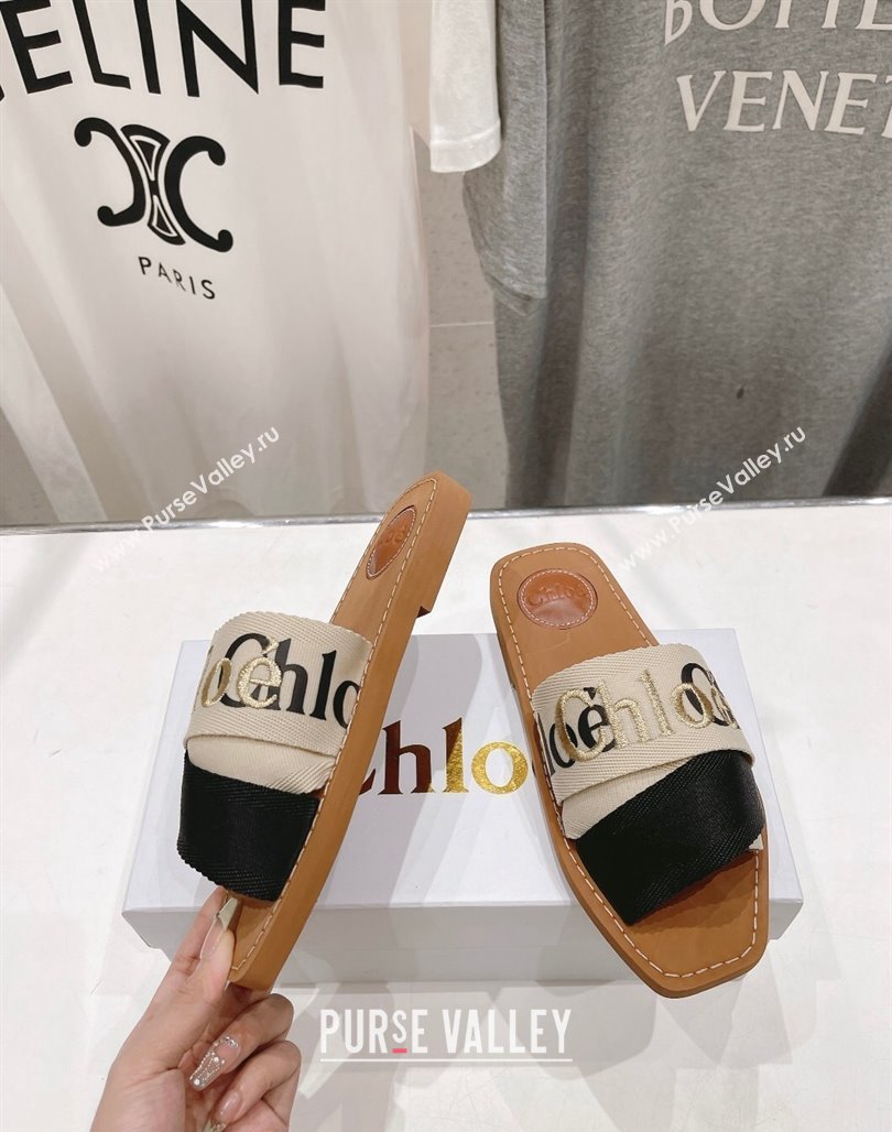 Chloe Woody Flat Slide Sandals in Original Ribbon Beige/Multicolor 2024 (MD-240227136)
