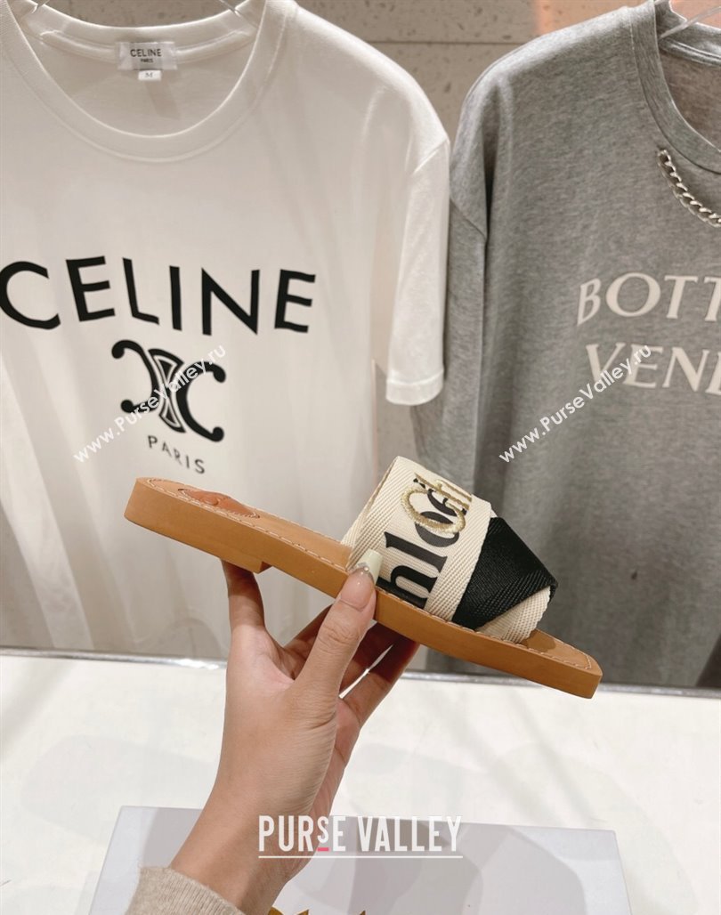 Chloe Woody Flat Slide Sandals in Original Ribbon Beige/Multicolor 2024 (MD-240227136)