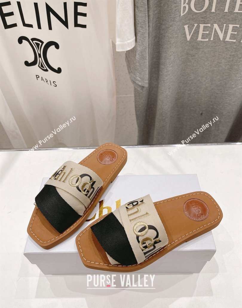 Chloe Woody Flat Slide Sandals in Original Ribbon Beige/Multicolor 2024 (MD-240227136)