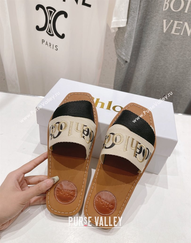 Chloe Woody Flat Slide Sandals in Original Ribbon Beige/Multicolor 2024 (MD-240227136)