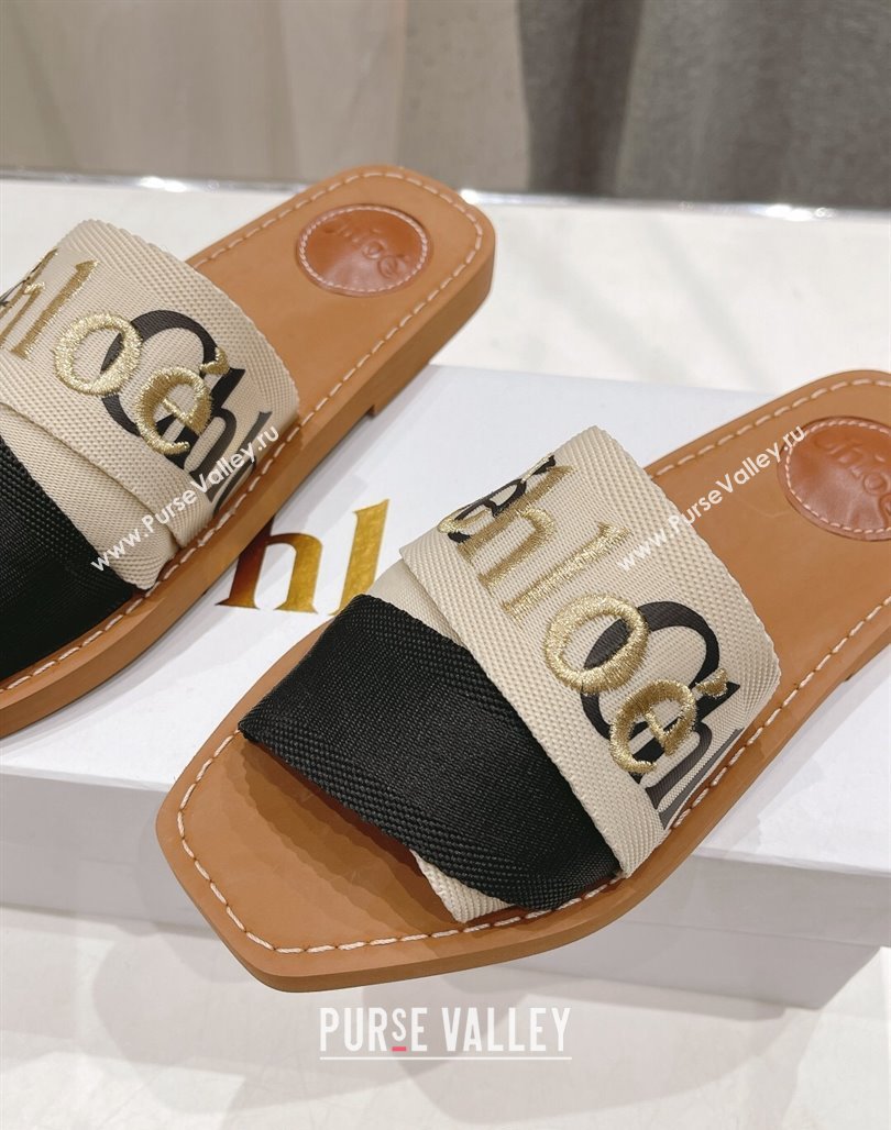 Chloe Woody Flat Slide Sandals in Original Ribbon Beige/Multicolor 2024 (MD-240227136)