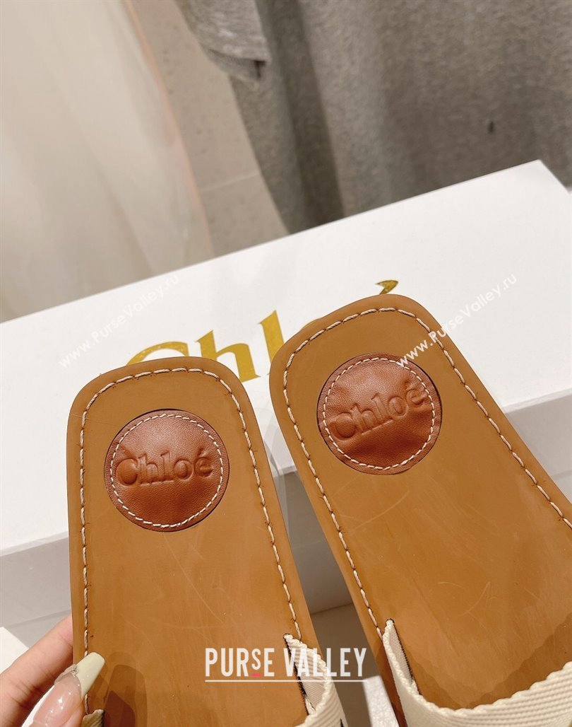 Chloe Woody Flat Slide Sandals in Original Ribbon Beige/Multicolor 2024 (MD-240227136)
