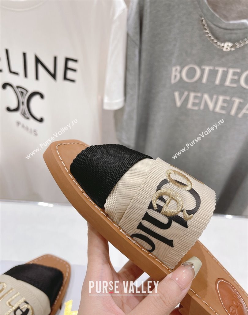 Chloe Woody Flat Slide Sandals in Original Ribbon Beige/Multicolor 2024 (MD-240227136)