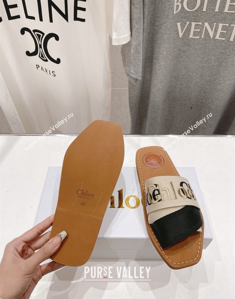 Chloe Woody Flat Slide Sandals in Original Ribbon Beige/Multicolor 2024 (MD-240227136)