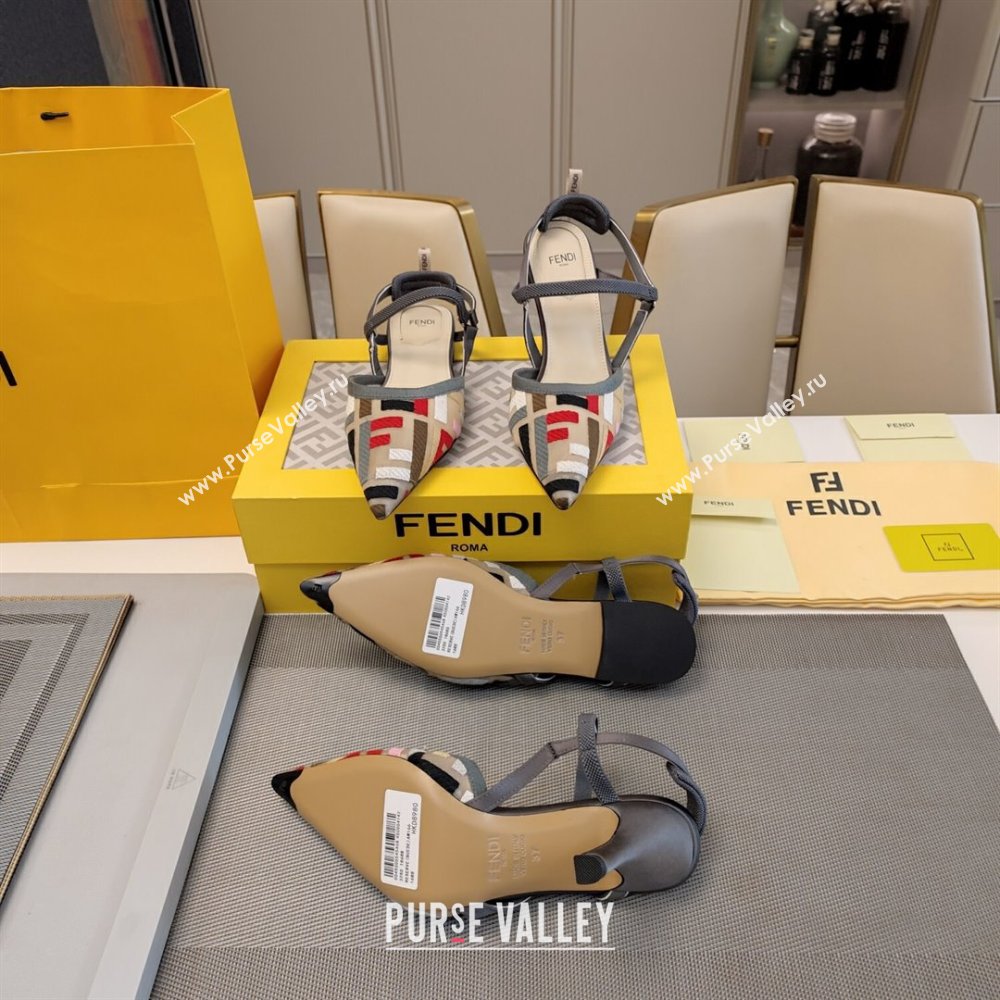 Fendi Colibri Lite Slingback Pumps 8.5cm/Flats in Multicolor FF mesh Dark Grey 2024 (MD-241122089)