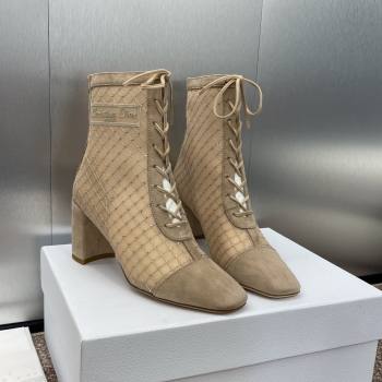 Dior Naughtily-D Heeled Ankle Boots 6.5cm in Transparent Mesh Embroidered with Strass and Beige Suede 2024 (MD-241122043)