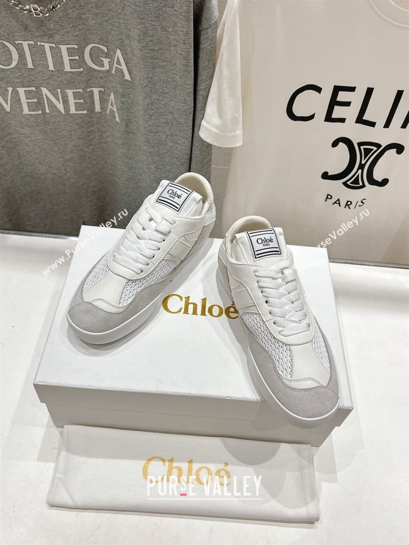 Chloe Kick Sneakers in Mesh, Calfskin and Suede Grey 2024 (MD-241122090)