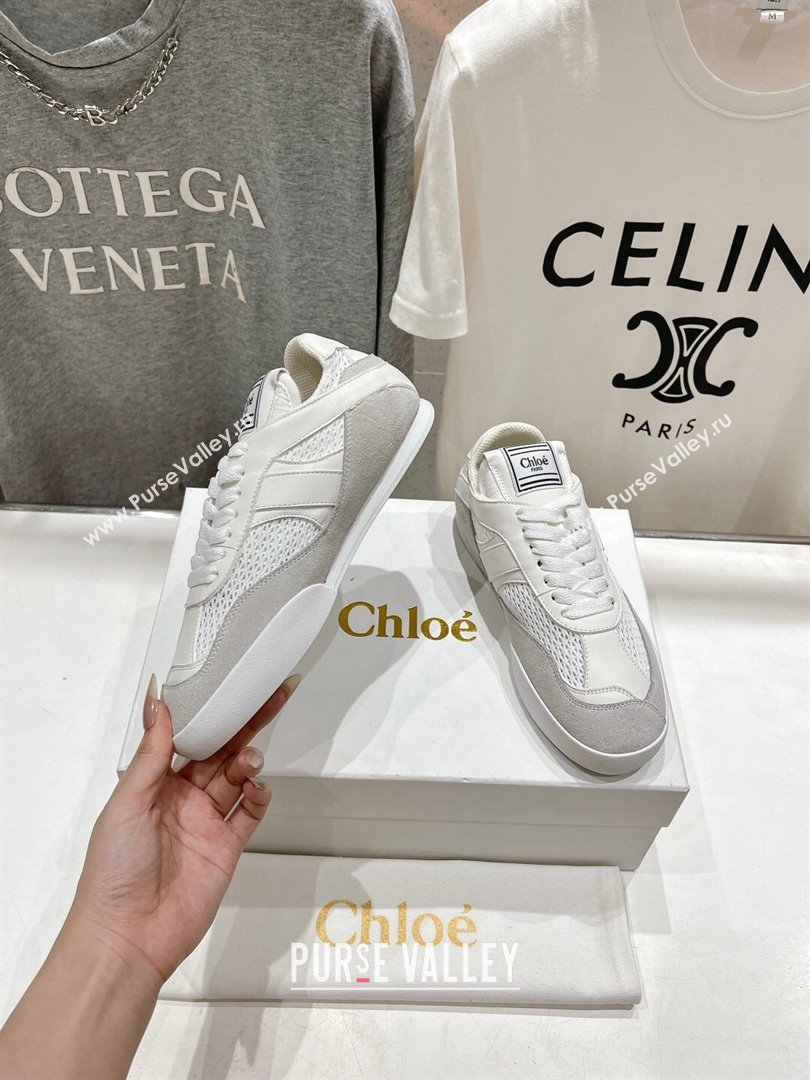 Chloe Kick Sneakers in Mesh, Calfskin and Suede Grey 2024 (MD-241122090)