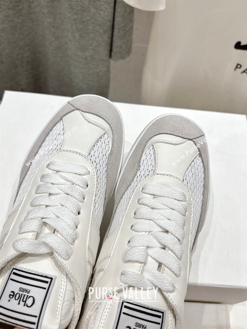 Chloe Kick Sneakers in Mesh, Calfskin and Suede Grey 2024 (MD-241122090)