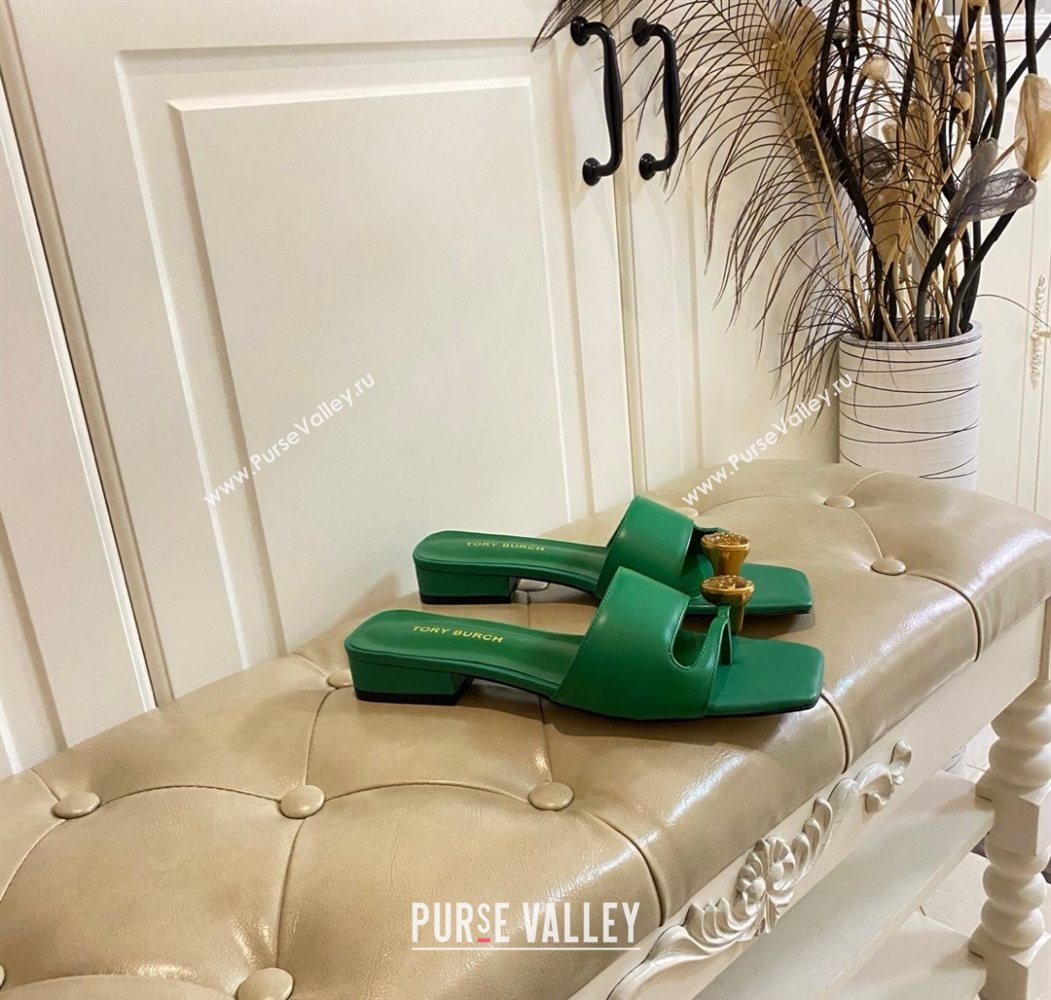 Tory Burch Leather Flat Thong Slides Sandal Green 2025 0711 (MD-250711030)