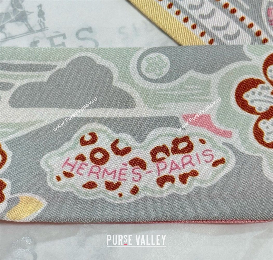 Hermes Couleur Silk Twilly Bandeau Scarf 5x86cm Grey 2026 (XMN-260106059)