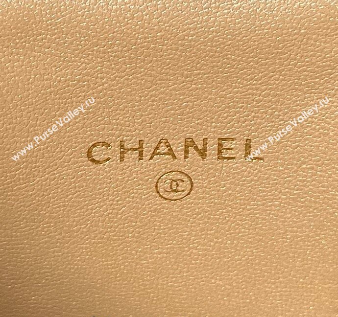 Chanel Shiny Lambskin Clutch with CC Charm Chain Black 2024 AP3941 (yezi-240717088)