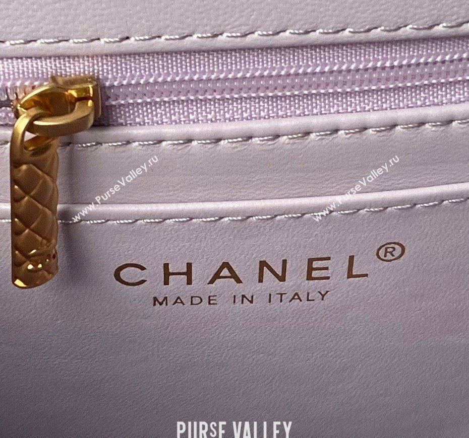 Chanel Lambskin Small Flap Bag with Top Handle AS4957 Light Purple 2024 (yezi-240717106)