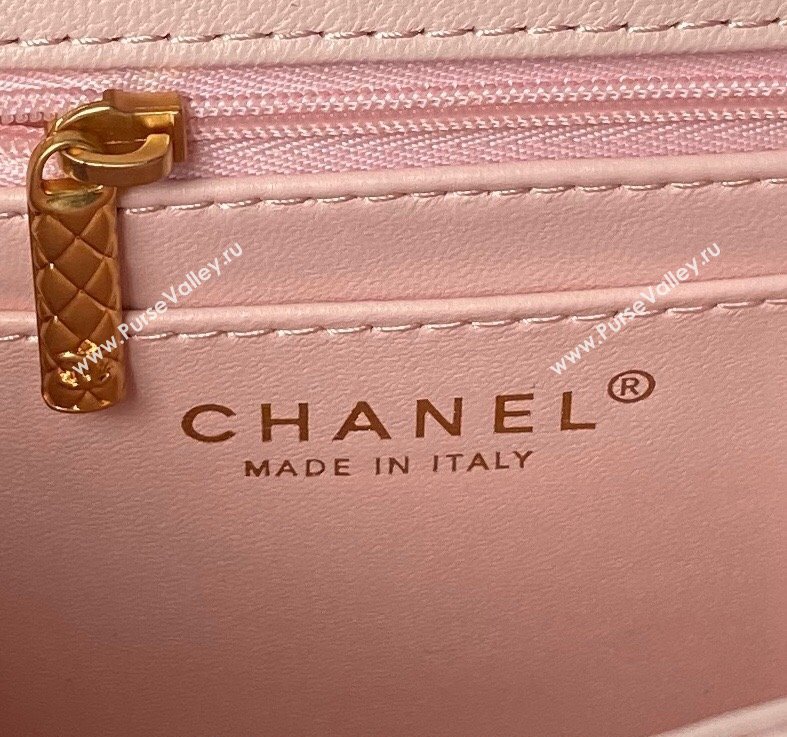 Chanel Lambskin Small Flap Bag with Top Handle AS4957 Light Pink 2024 (yezi-240717107)