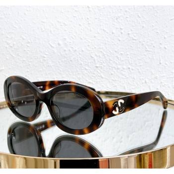 Chanel Sunglasses CH7990 Brown 2024 (A-240410073)