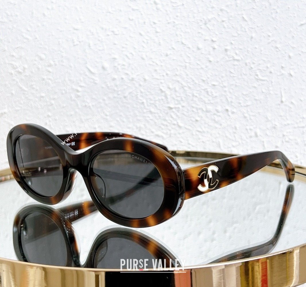 Chanel Sunglasses CH7990 Brown 2024 (A-240410073)