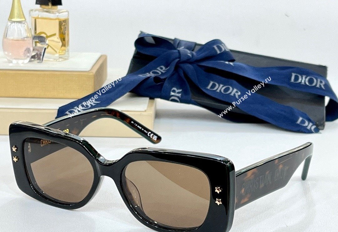 Dior Sunglasses ZEISS Brown 2024 (A-240410079)