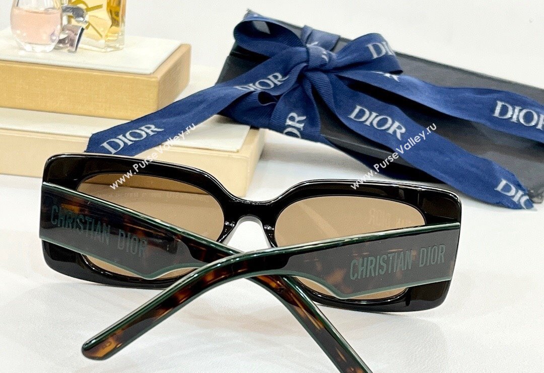 Dior Sunglasses ZEISS Brown 2024 (A-240410079)