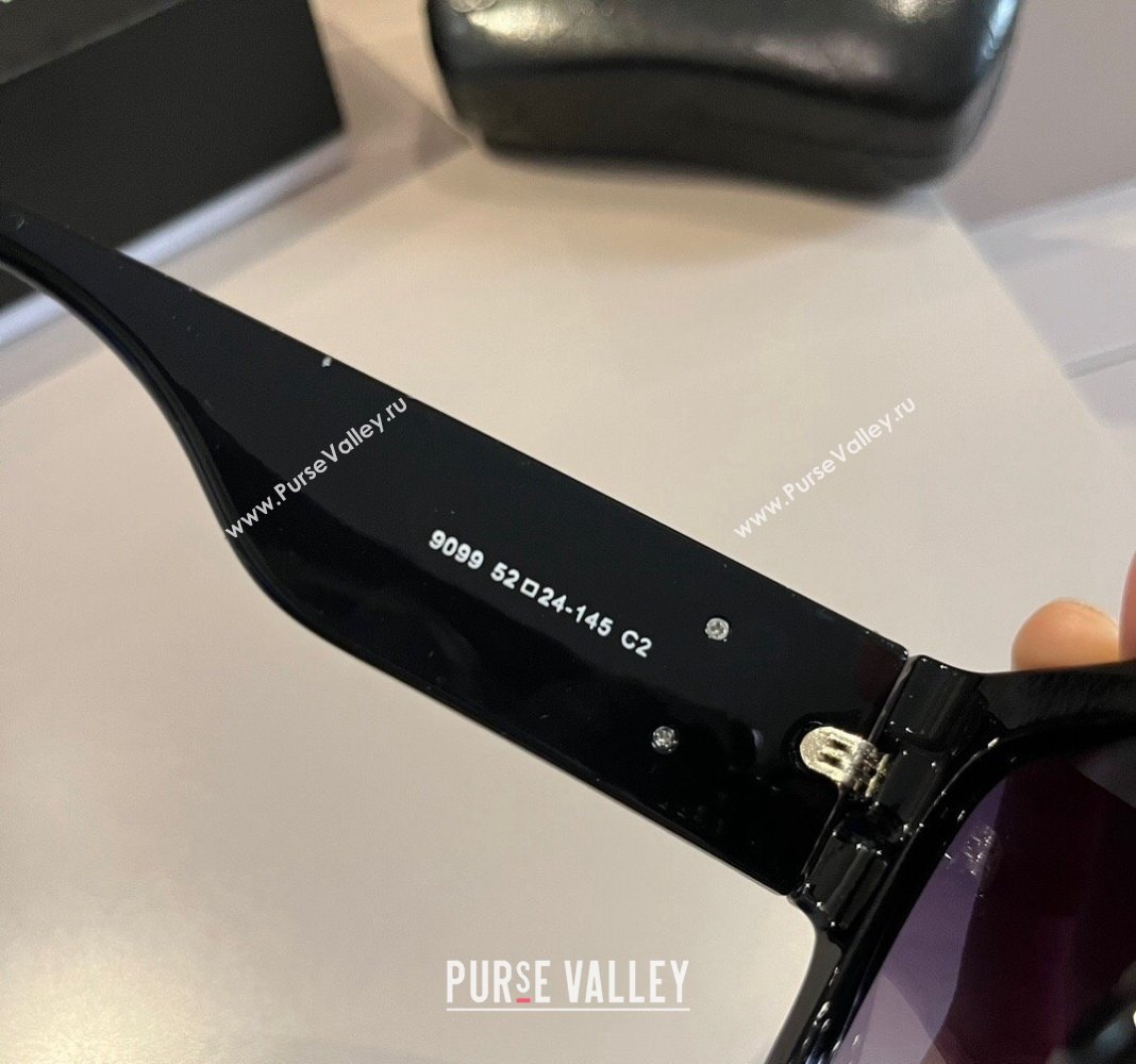 Chanel Sunglasses Black/Purple 2024 041006 (XMN-240410026)