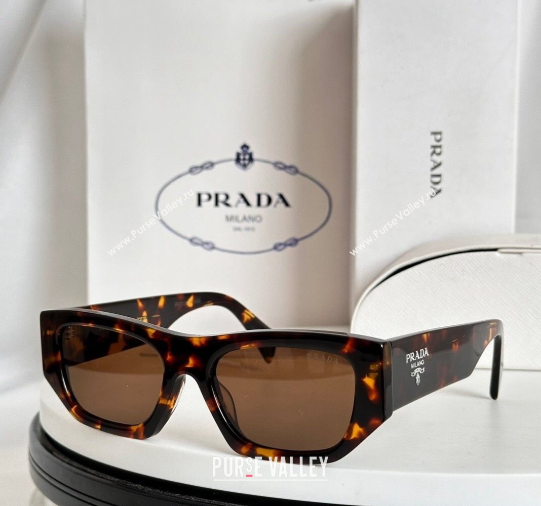 Prada Sunglasses SPR01S Brown 2024 (A-240727066)