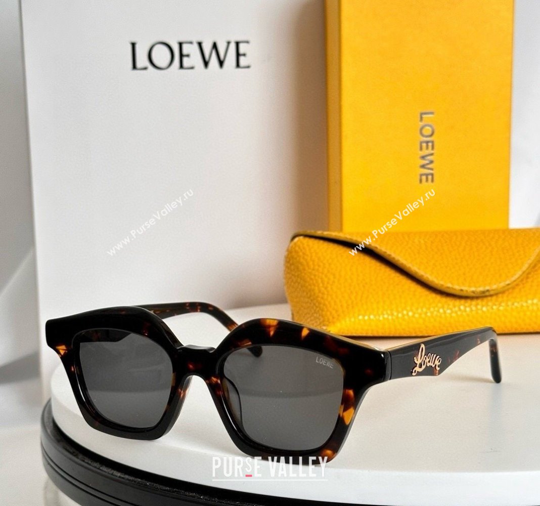 Loewe Sunglasses 2 2024 LW40078 (A-240822038)