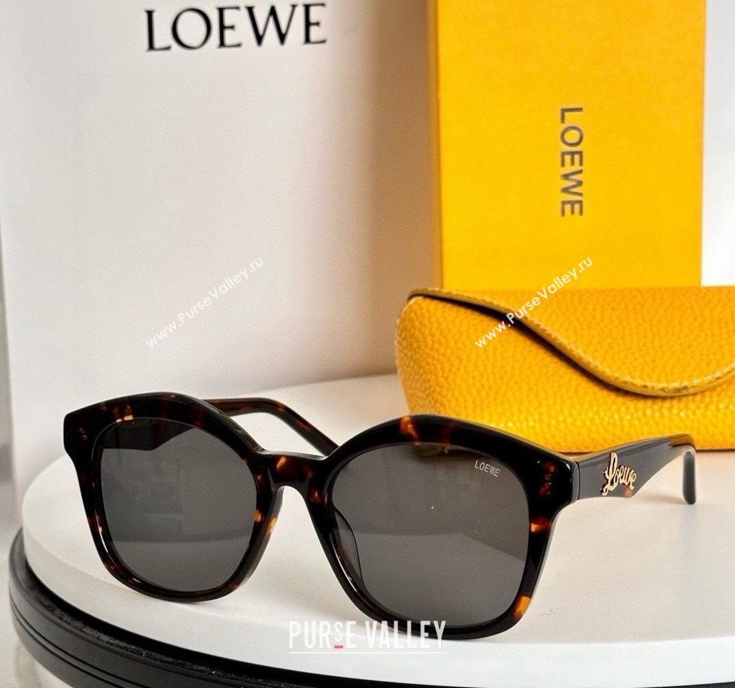 Loewe Sunglasses LW40079 Brown/Grey 2024 (A-240914075)