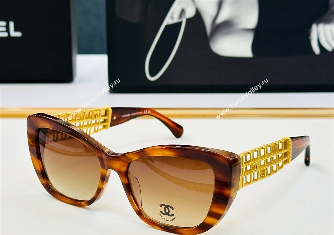Chanel Sunglasses 2 2025 CH9169 (SHI-250721067)