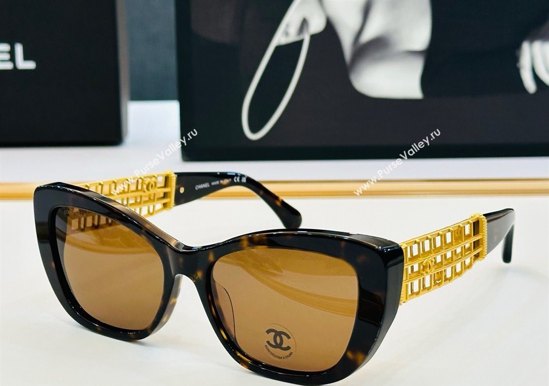 Chanel Sunglasses 5 2025 CH9169 (SHI-250721070)