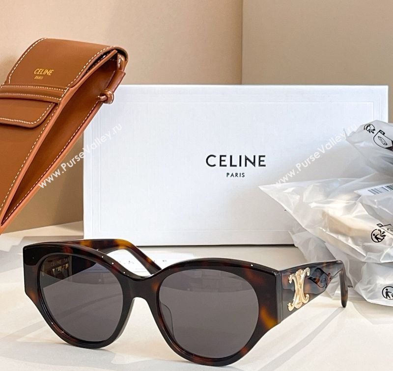 Celine Sunglasses 1 2025 CL40328U (SHI-251111001)
