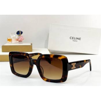 Celine Sunglasses with Strass 4 2025 CL40304 (SHI-251111016)