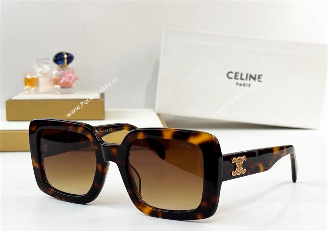 Celine Sunglasses with Strass 4 2025 CL40304 (SHI-251111016)