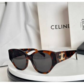 Celine Sunglasses 3 2025 CL40328 (SHI-251111021)