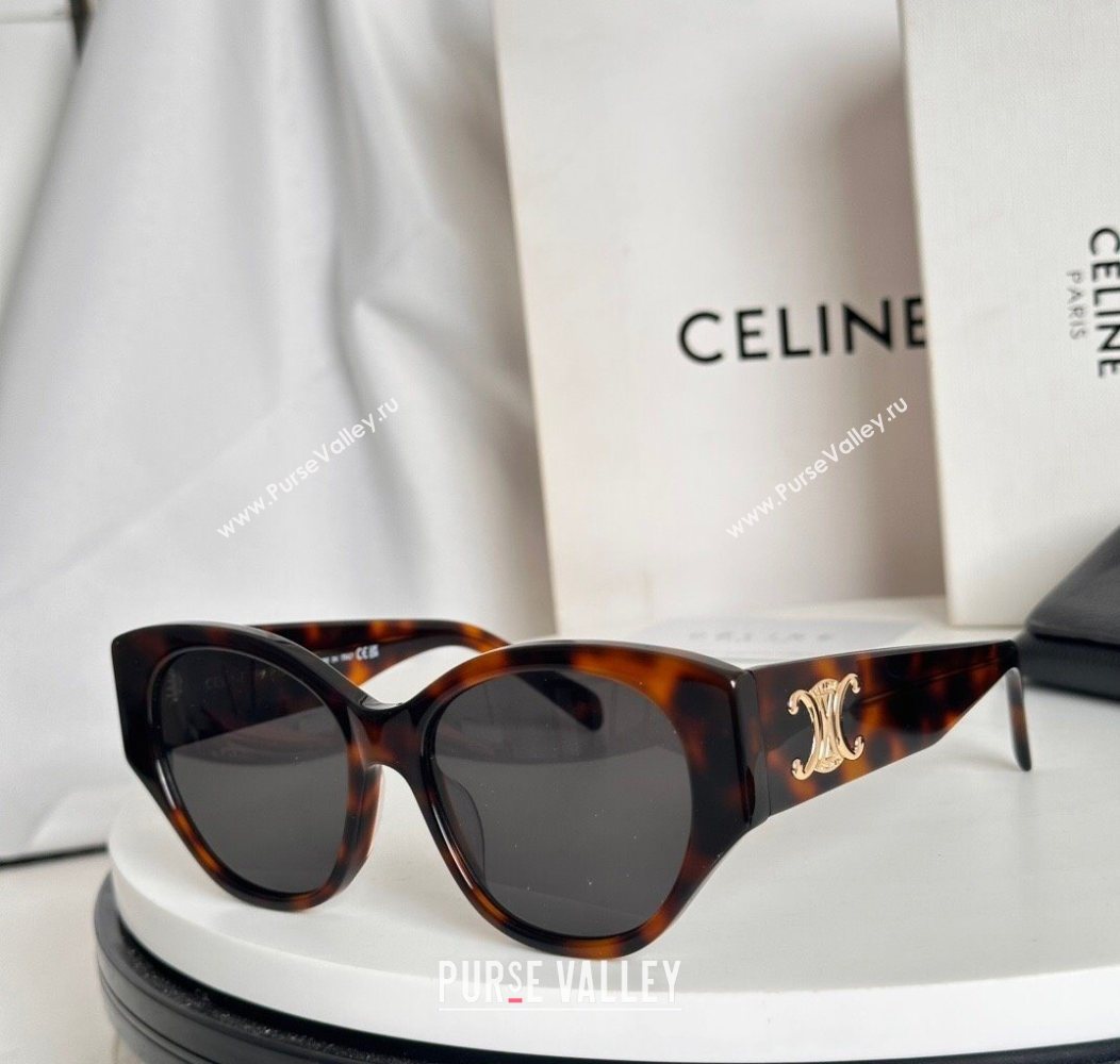 Celine Sunglasses 3 2025 CL40328 (SHI-251111021)