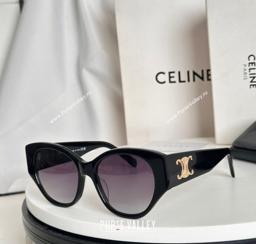 Celine Sunglasses 4 2025 CL40328 (SHI-251111022)