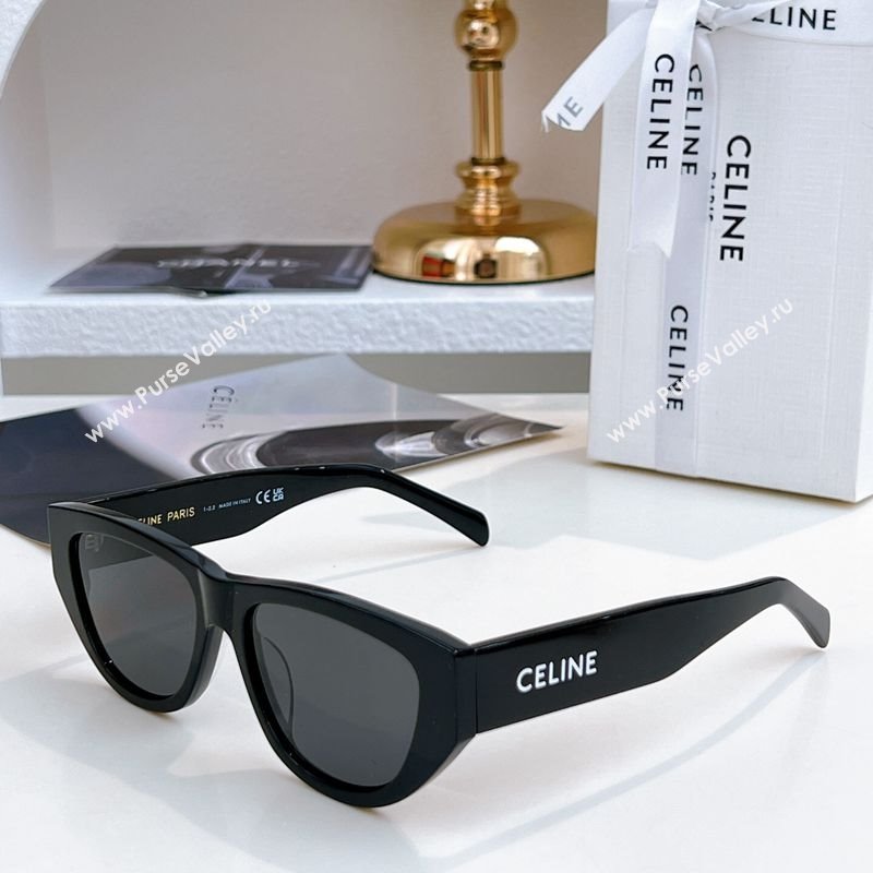 Celine Sunglasses Black 2025 CL40278 (SHI-251111030)