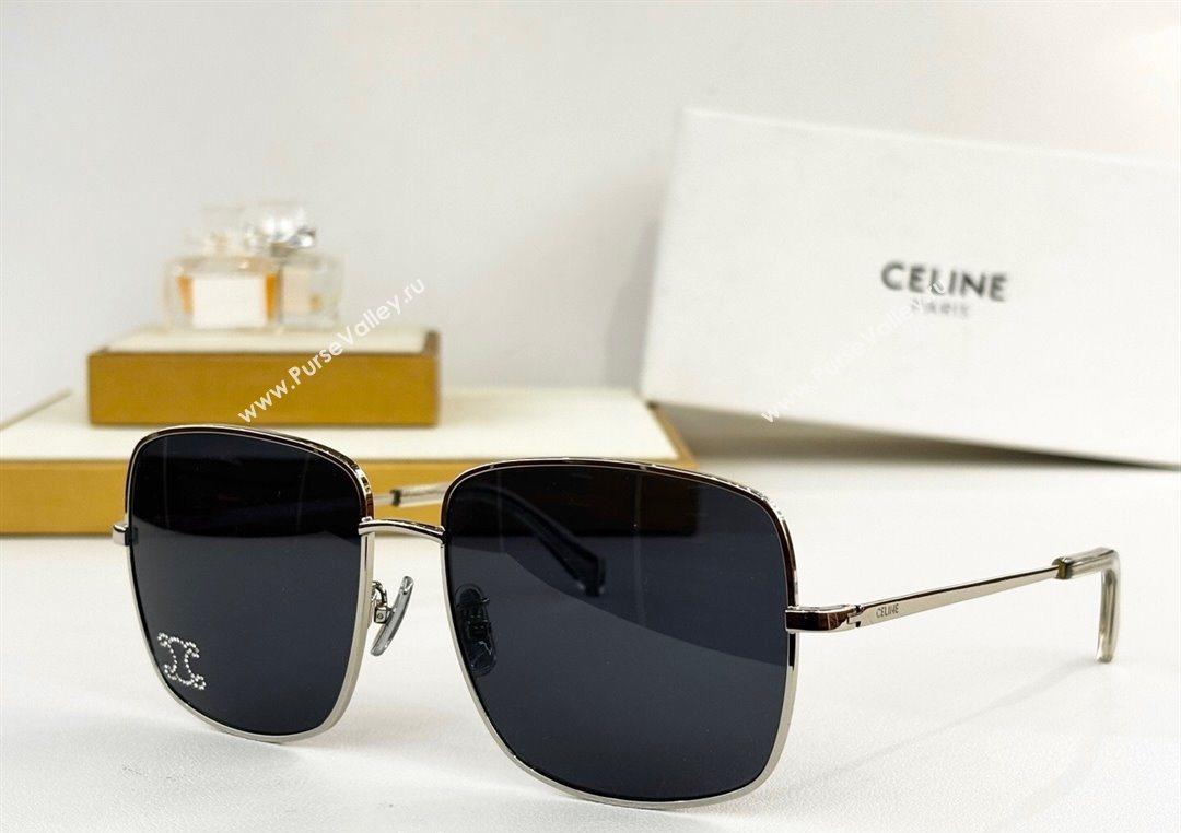 Celine Sunglasses 2 2025 CL40284U (SHI-251111034)