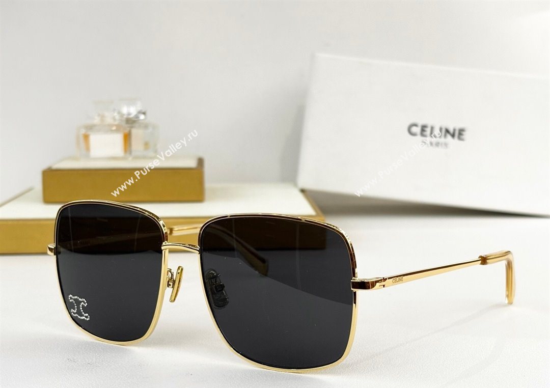 Celine Sunglasses 4 2025 CL40284U (SHI-251111036)